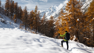 7 Magical Hiking Trails For Your Winter Hike